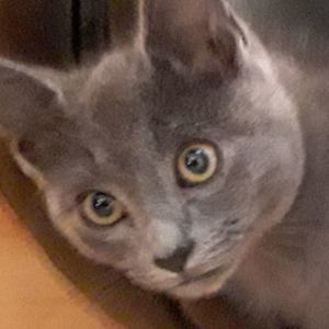 Meet your Posher, Hilda